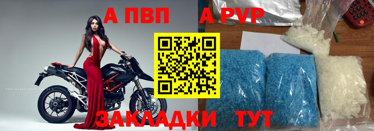 A PVP СК КРИС  Вход с VPN  Волгодонск 