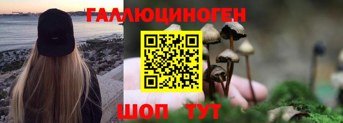 Галлюциногенные грибы ЛСД Волгодонск